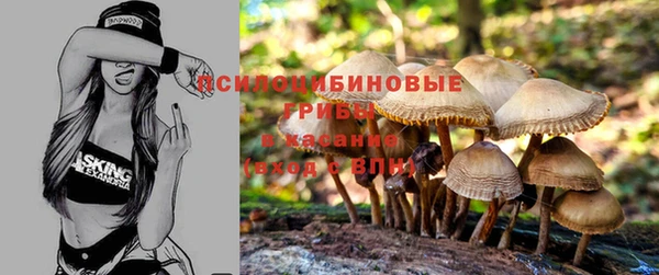 герыч Краснотурьинск