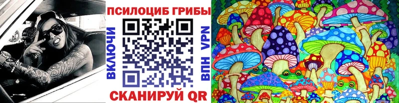 Псилоцибиновые грибы Psilocybine cubensis  Купить  Новосокольники 